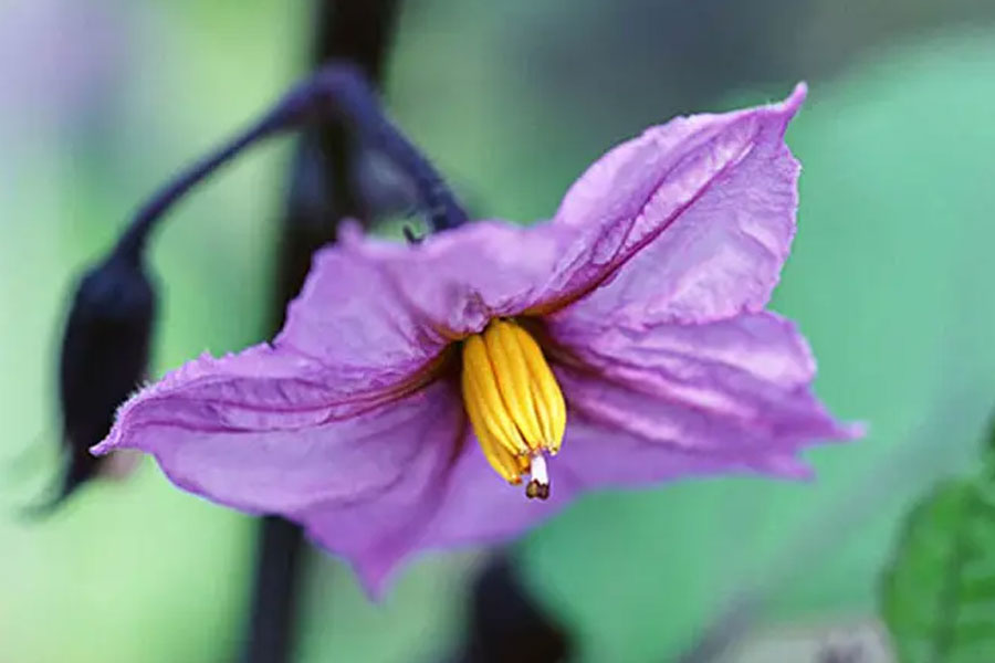 1667294641272050.jpg 20221025-1-1-2.jpg