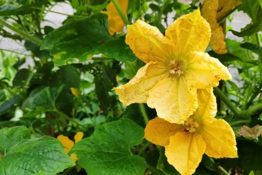 1667294675153520.jpg 20221025-1-1-5.jpg