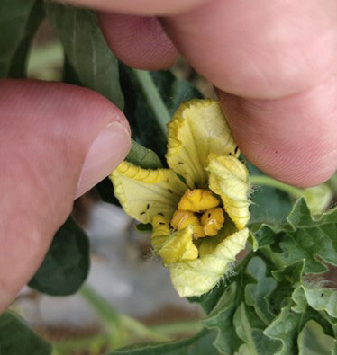 1667294742103590.jpg 20221025-1-2-4.jpg