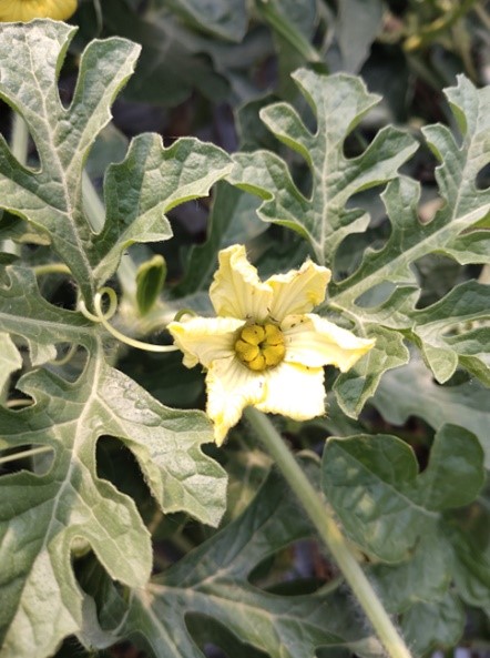 1667294751690468.jpg 20221025-1-2-5.jpg