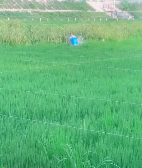 1667294789540704.jpg 20221025-1-3-3.jpg