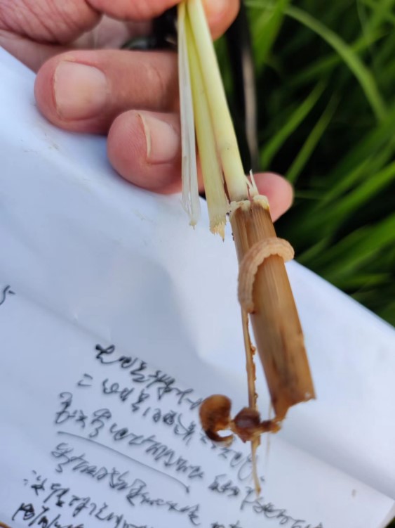 1667294844687530.jpg 20221025-1-4-4.jpg